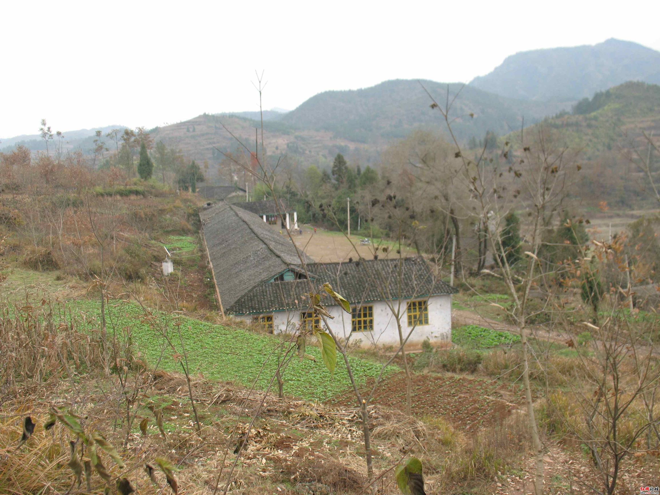 贫穷和无能是他们的软肋 (贫穷衍生出的苛责)