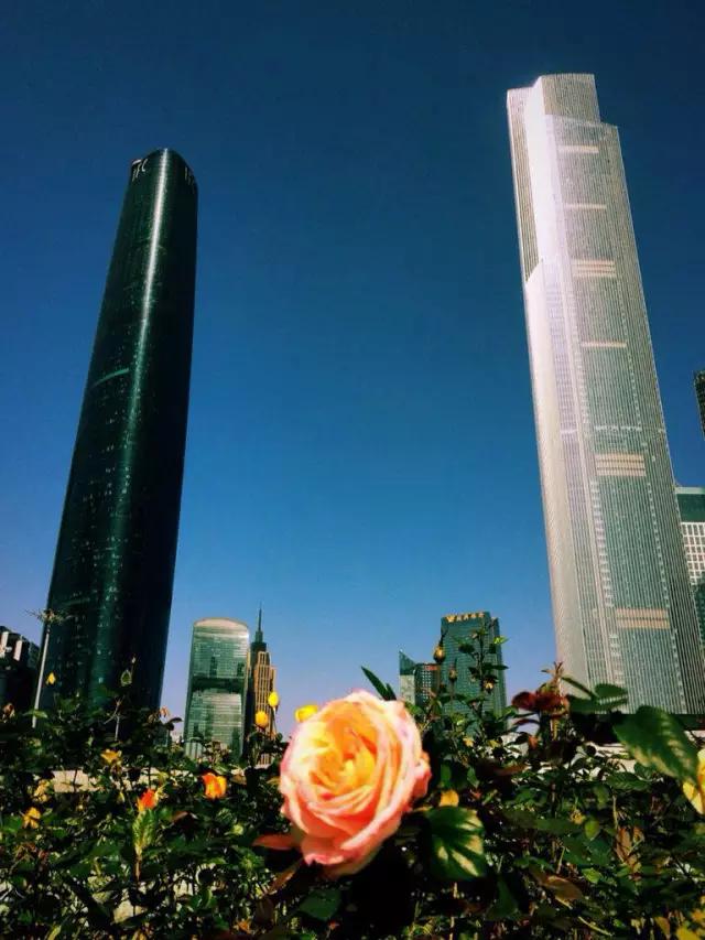 cmpa是什么,cmpa东莞坎普