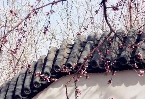 沪昆高铁沿线有什么著名旅游景点,好消息昭通高铁