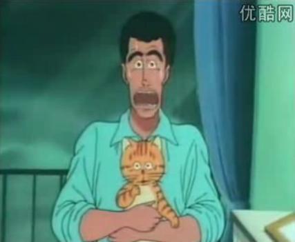 动漫卡通猫的名字,可爱动漫猫图片