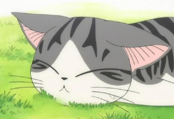 动漫卡通猫的名字,可爱动漫猫图片