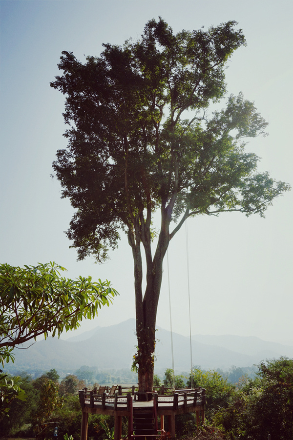 爱在拜县的悠生活与慢时光