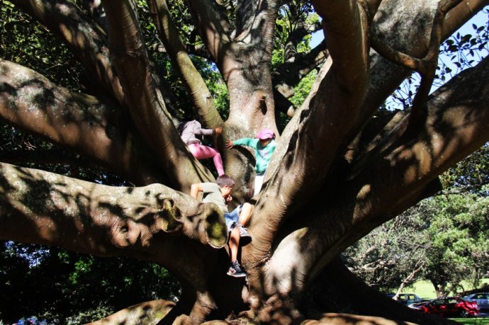 奥克兰天空城,奥克兰天空之塔攻略