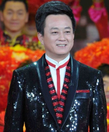 猴年央视春晚主持人,猴年春节联欢晚会主持人