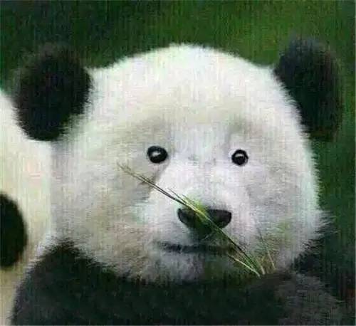 黑眼圈的形成原因中医,黑眼圈是怎么形成的又如何治疗