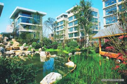 励精图治另一种说法,12年成长记录