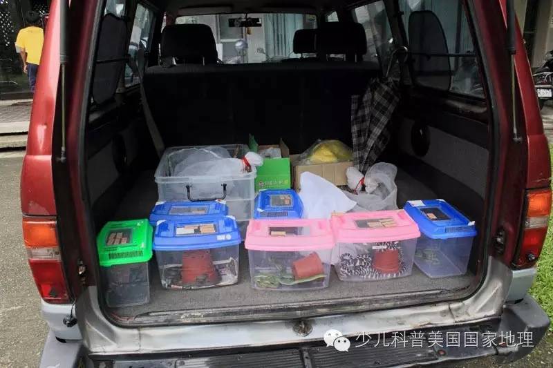 当放生变成一场生存游戏