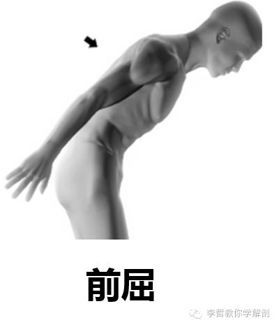 腰痛腹横肌痛,腹壁肌疼痛症状