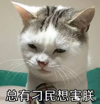 大学生兼职要警惕网络诈骗陷阱,网络诈骗大学生被骗的多吗