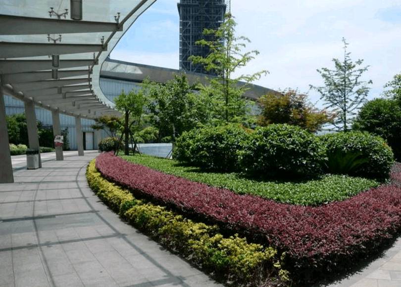 寤轰簡涓冻鐞冨満,寤轰竴涓ぇ鍨嬪鍐呯鐞冨満