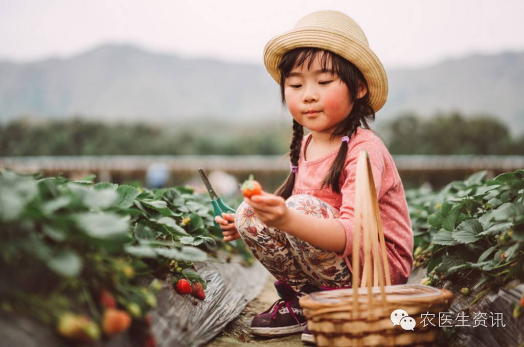 玉米种植补贴视频,玉米补贴的最新政策