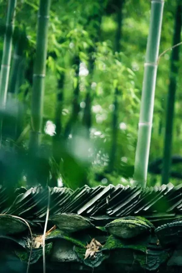 关于长情和深情的古诗词,最深的感情的古诗句