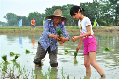 谁知道蚂蟥的药用价值,吸血蚂蟥有4大功效