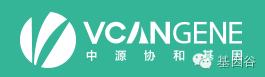 国内基因检测公司排名前十,值得信赖的国内基因检测公司