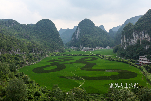 贵州多彩贵州风五日游,走进多彩贵州欣赏贵州美景