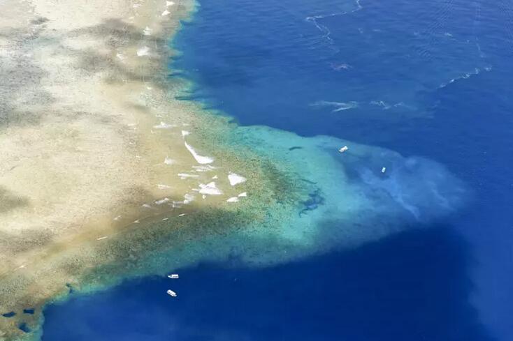 帕劳海底旅游攻略,帕劳海底世界景点