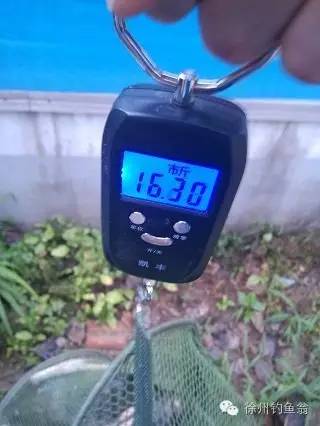 内乡县余关镇杨洼水库,杨洼水库游玩