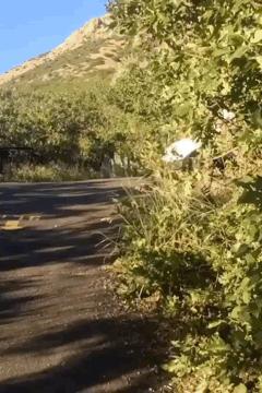 恐怖gif女生,韩国恐怖电影女孩诡异的笑图片