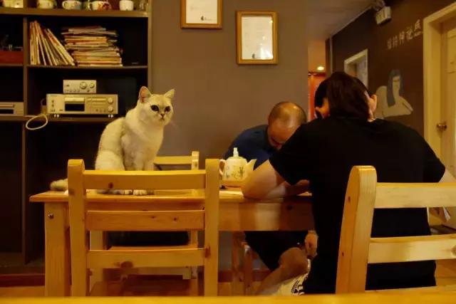 搴楅摵閲囪,搴楅摵涓撹