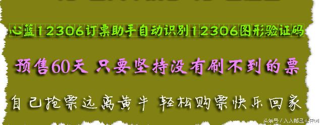 抢票神器100元,抢票神器手机版