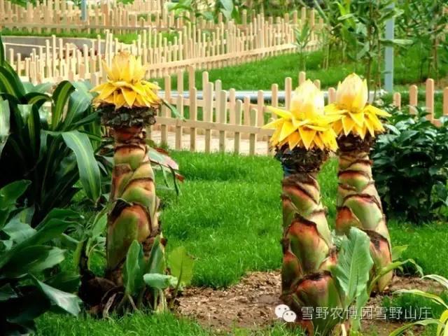 感恩教师节景区活动,感恩教师节门票优惠政策