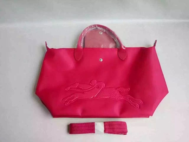 longchamp饺子包耐用吗,longchamp饺子包辨别真假