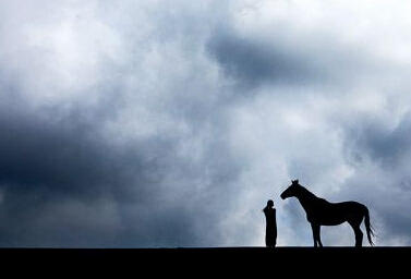 成为合格骑士的步骤,如何成为骑士技巧