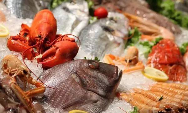 做冻品生意的经验,做冻品生意真的不行了吗