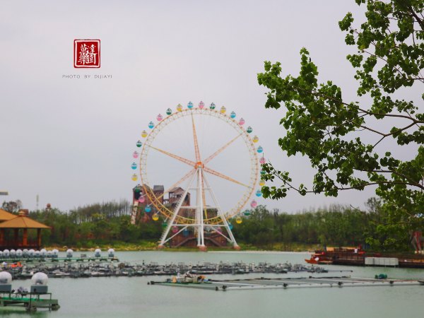 合肥万达乐园游玩,合肥万达乐园主题乐园