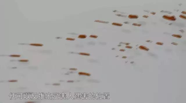 比白银大案还大的案件,白银案的真实事件电影