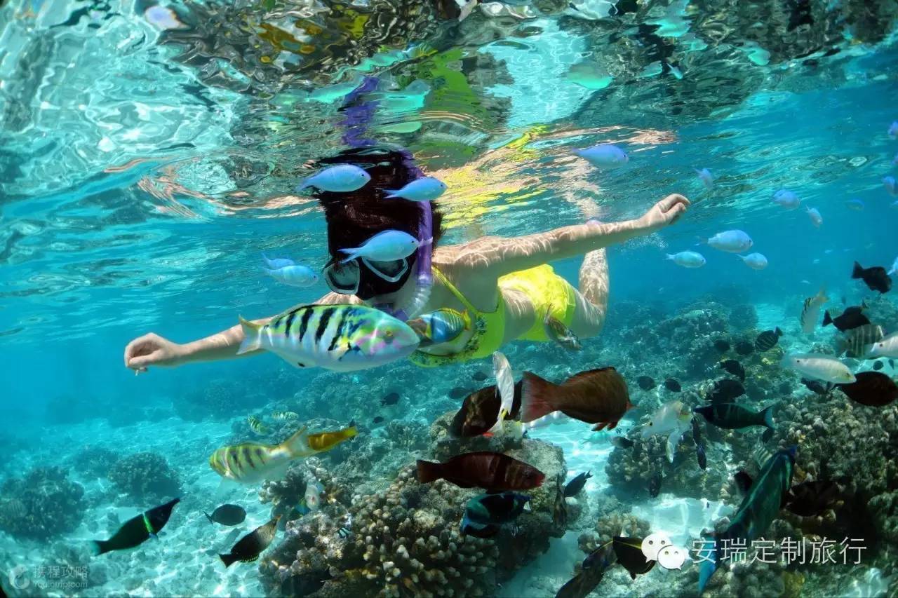 塞班岛和塞舌尔哪个好,塞舌尔菲律宾旅游