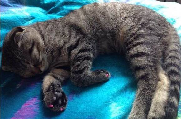 北京一男子1000元买房,北漂男子268万买的房子北京