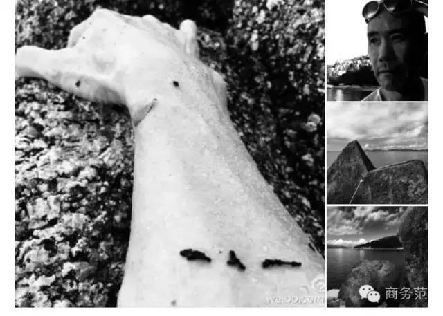 ceo必做的3件事,ceo必须做的10件事