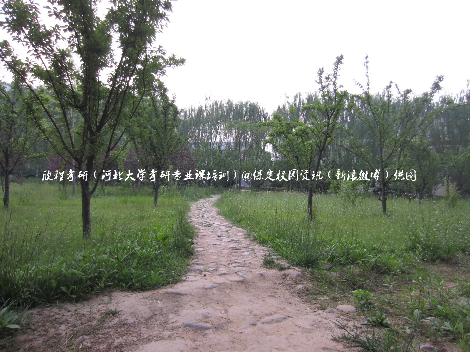 最美校园保定学院,河北最美的学院