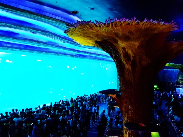 珠海长隆让人尖叫的海洋王国,珠海长隆海洋王国之绚丽多彩