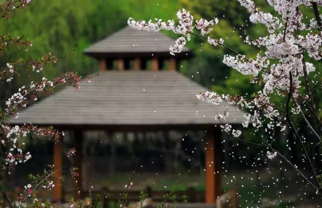 六十多家旅游景点门票半价,这8家景区免费或有优惠