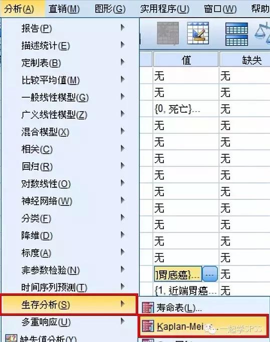 spss如何分析kaplan,spss理论的运用