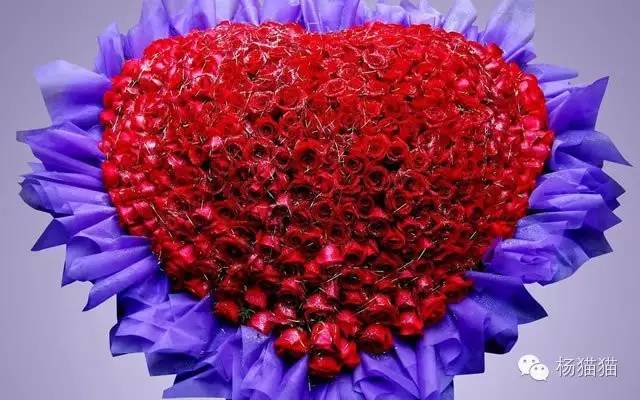 11朵玫瑰代表什么寓意,11朵玫瑰花语的含义