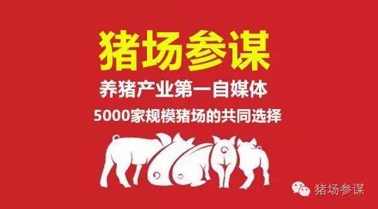 仔猪死亡率50%以上！猪流行性感冒的防控措施