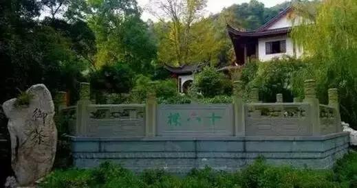 中国前十普洱茶价格表,十大顶级普洱茶价格及图片