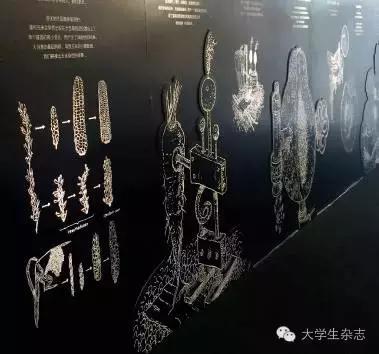 设计探索性作业,设计是创造生活的行为