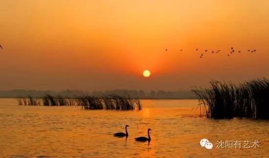 沈阳又新增一个开放公园,盘点沈阳最值得去的免费公园