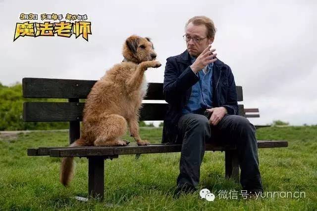 19点新闻｜“心醉高原美活力彩云南”活动22日启动27家网媒大咖带你看云南