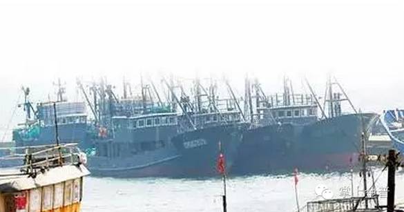 金普新区及周边海岛游史上最全攻略！