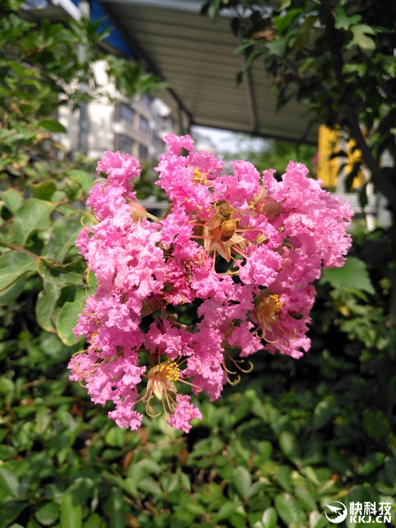 华为g9plus评测,14nm骁龙8核