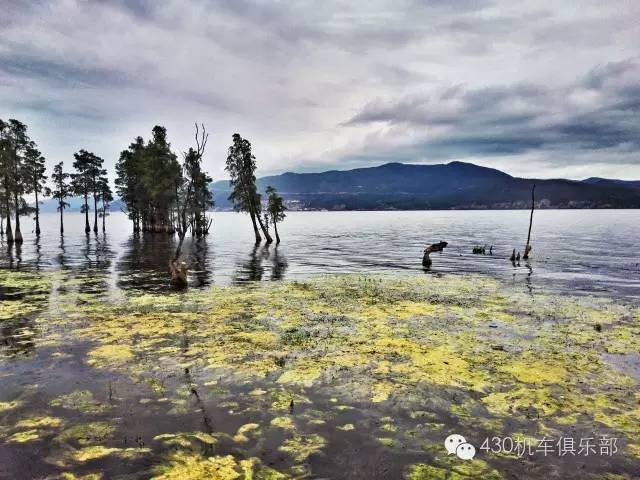 跨越五省，骑行香格里拉等地，他们用这样的方式宣传肇庆！