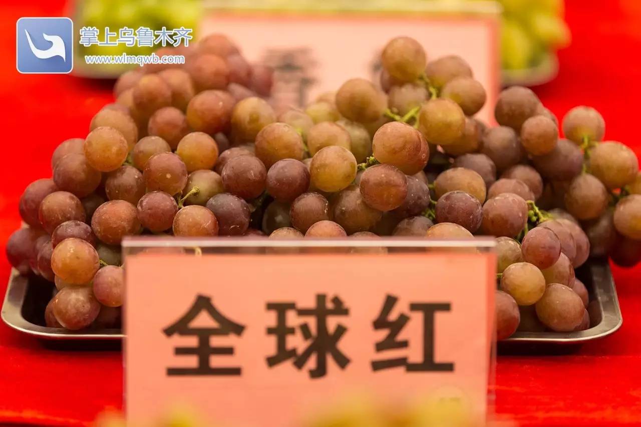 自带花香味的葡萄你吃过吗,吃葡萄不吐葡萄皮的葡萄怎么挑