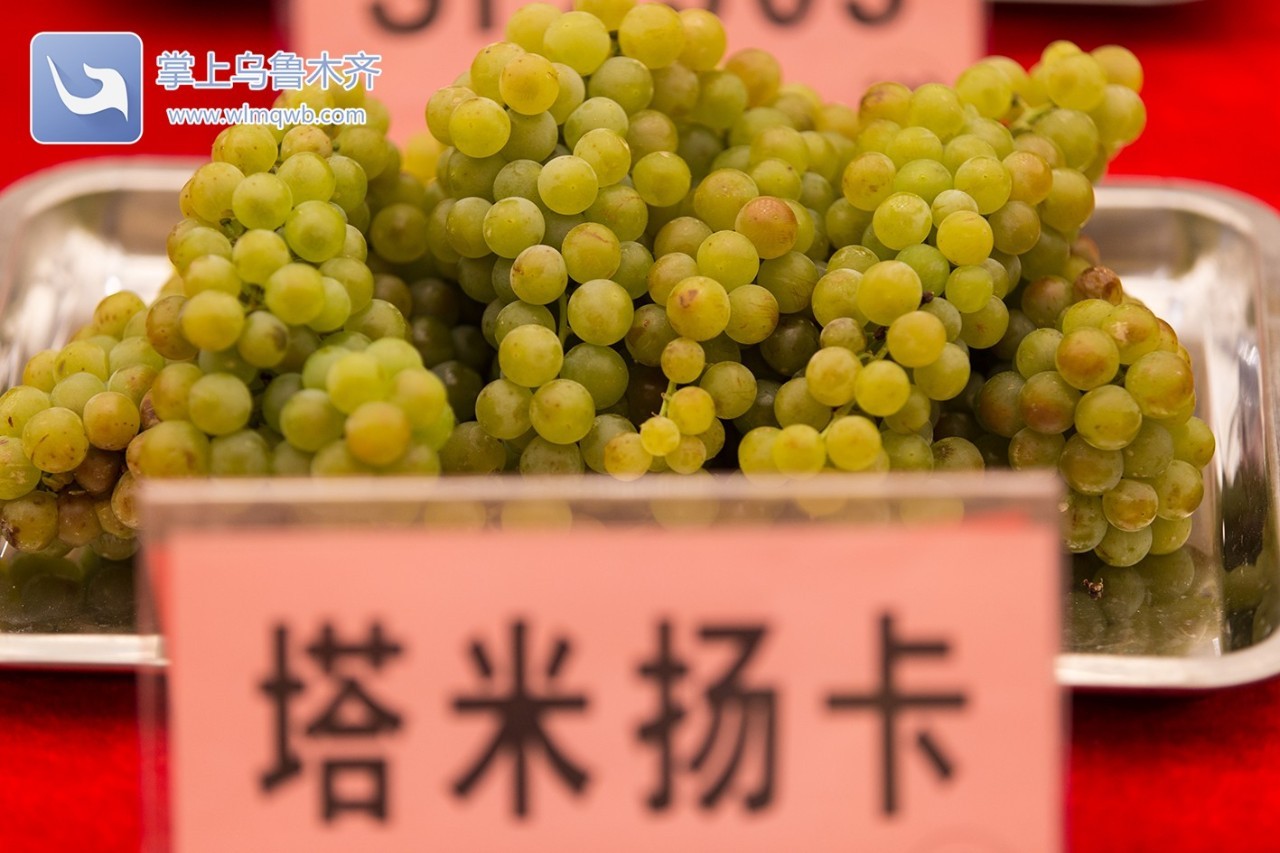 自带花香味的葡萄你吃过吗,吃葡萄不吐葡萄皮的葡萄怎么挑