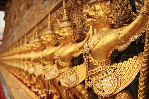 许小姐在墨尔本,许小姐游中国视频