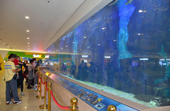 江门海底捞汇悦城生日,江门海底捞新店开业礼